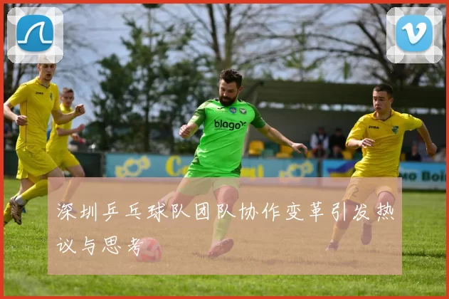 深圳乒乓球队团队协作变革引发热议与思考