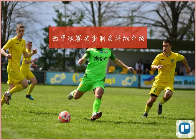 西甲联赛奖金制度详细介绍