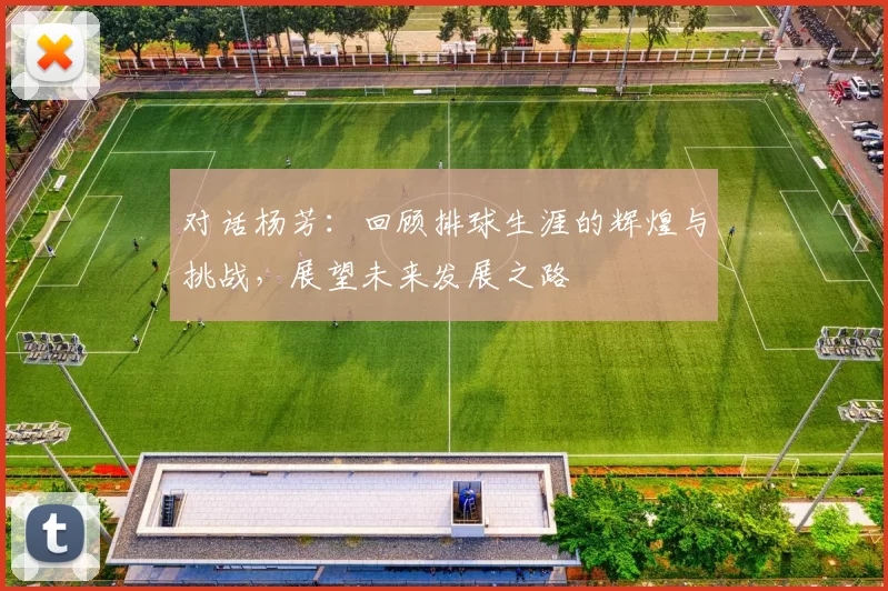 对话杨芳：回顾排球生涯的辉煌与挑战，展望未来发展之路
