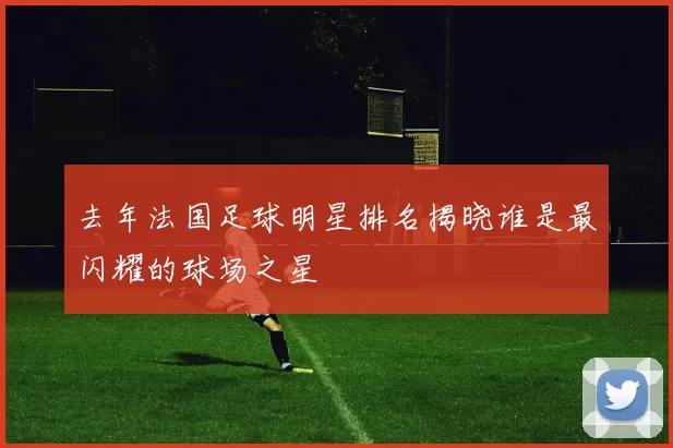 去年法国足球明星排名揭晓谁是最闪耀的球场之星
