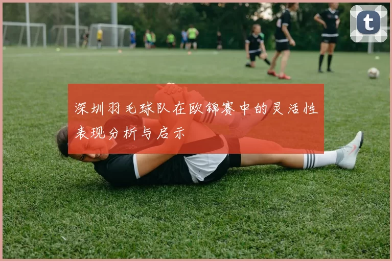 深圳羽毛球队在欧锦赛中的灵活性表现分析与启示