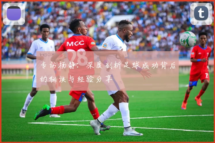 专访杨静：深度剖析足球成功背后的秘诀与经验分享