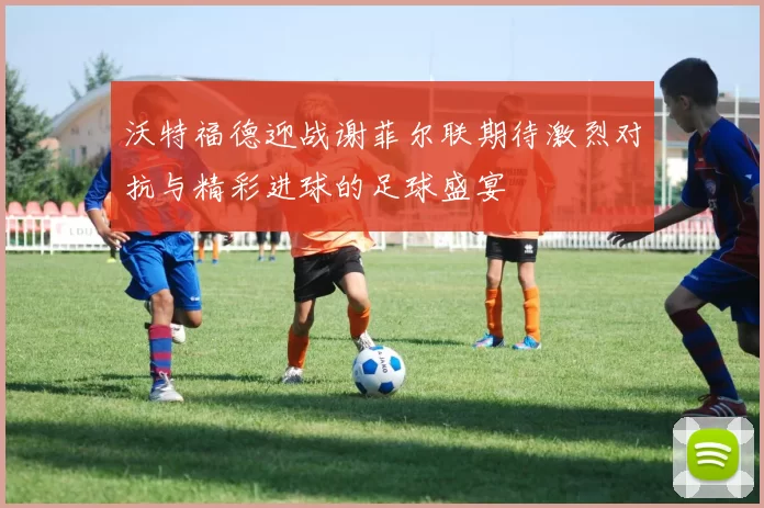沃特福德迎战谢菲尔联期待激烈对抗与精彩进球的足球盛宴