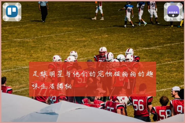 足球明星与他们的宠物猫狗狗的趣味生活揭秘