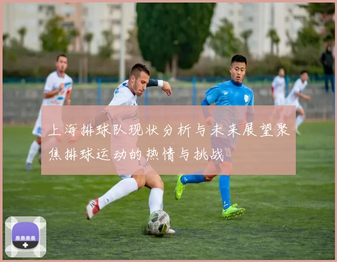 上海排球队现状分析与未来展望聚焦排球运动的热情与挑战