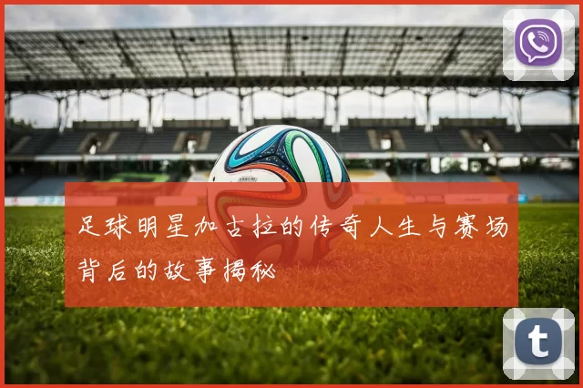 足球明星加古拉的传奇人生与赛场背后的故事揭秘