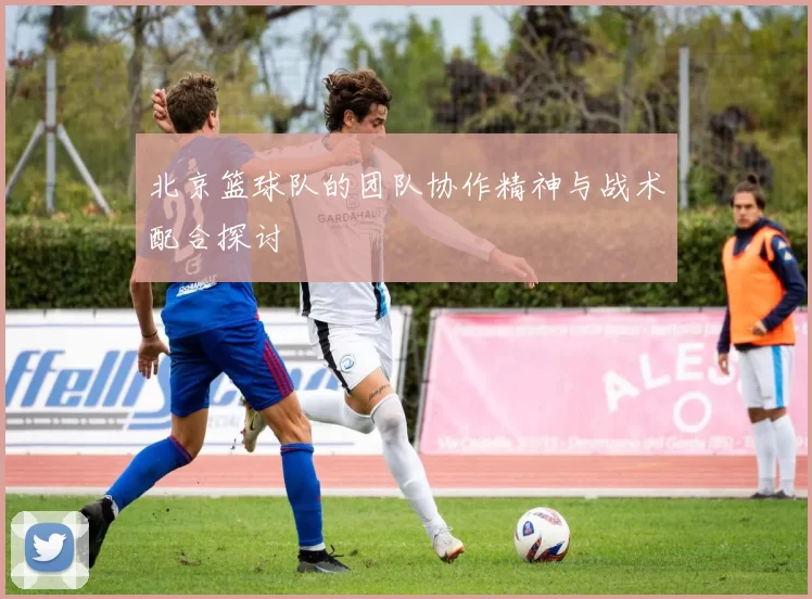 北京篮球队的团队协作精神与战术配合探讨