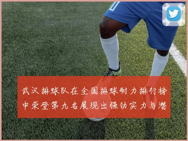 武汉排球队在全国排球耐力排行榜中荣登第九名展现出强劲实力与潜力