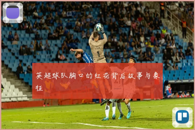 英超球队胸口的红花背后故事与象征