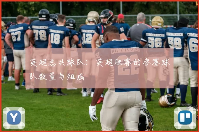英超总共球队：英超联赛的参赛球队数量与组成