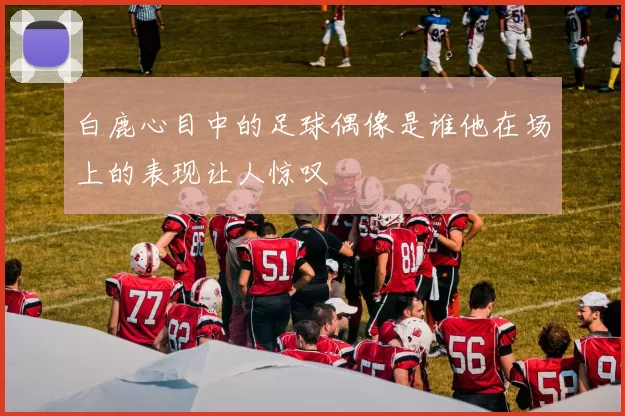 白鹿心目中的足球偶像是谁他在场上的表现让人惊叹