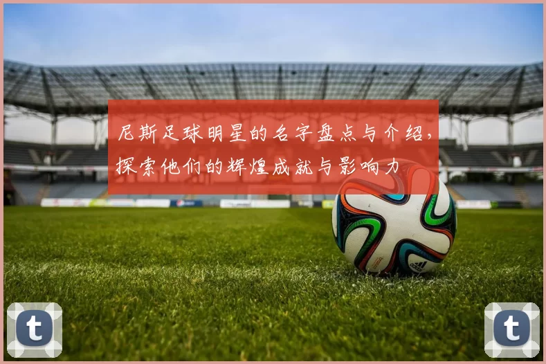 尼斯足球明星的名字盘点与介绍，探索他们的辉煌成就与影响力