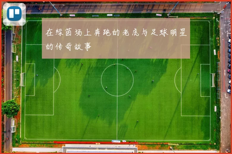 在绿茵场上奔跑的老虎与足球明星的传奇故事