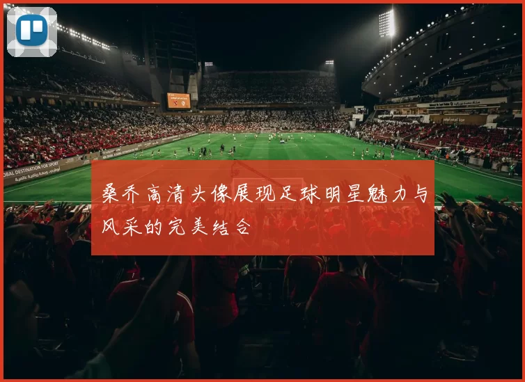 桑乔高清头像展现足球明星魅力与风采的完美结合