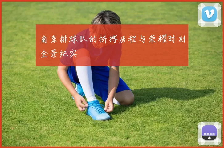 南京排球队的拼搏历程与荣耀时刻全景纪实