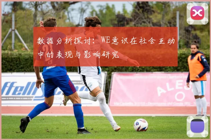 数据分析探讨：WE意识在社会互动中的表现与影响研究