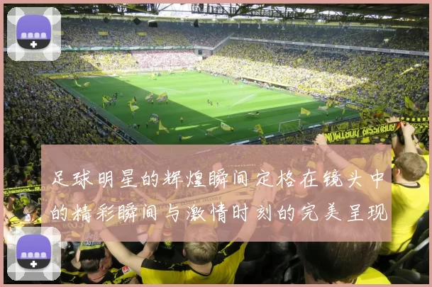 足球明星的辉煌瞬间定格在镜头中的精彩瞬间与激情时刻的完美呈现