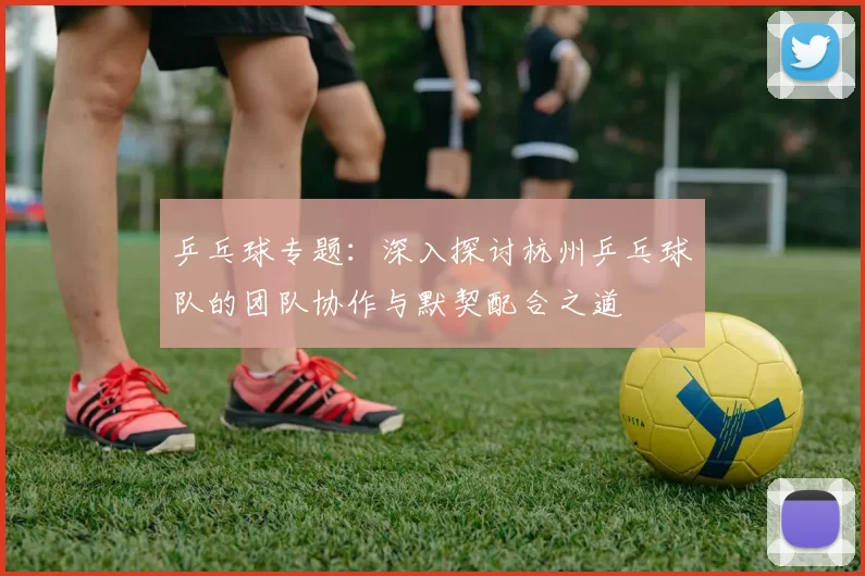 乒乓球专题：深入探讨杭州乒乓球队的团队协作与默契配合之道